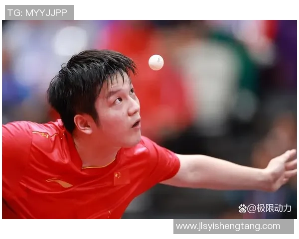 乒乓球耐力排行榜揭晓上海乒乓球队荣登第五名引发关注