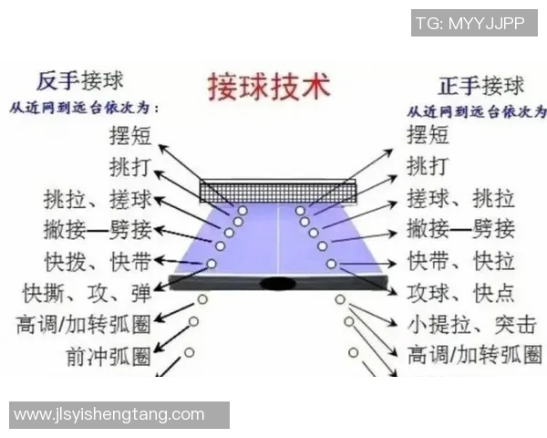 武汉乒乓球队转换打法的深度分析与战术解析